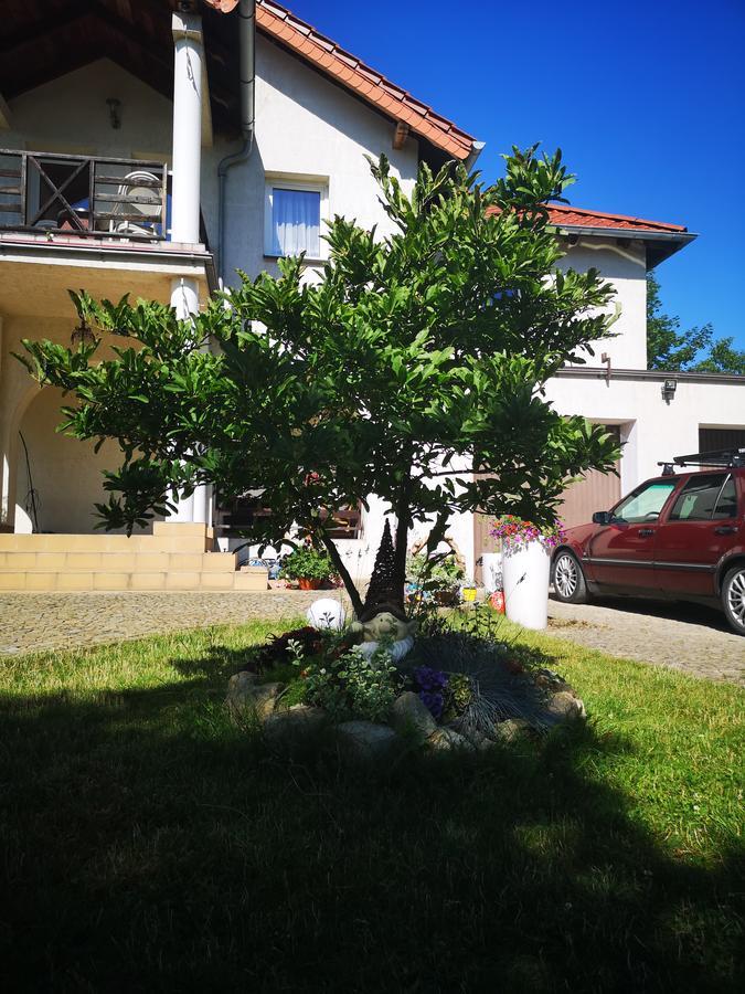 Casa Del Fasa Apartment Polanica-Zdroj Ngoại thất bức ảnh